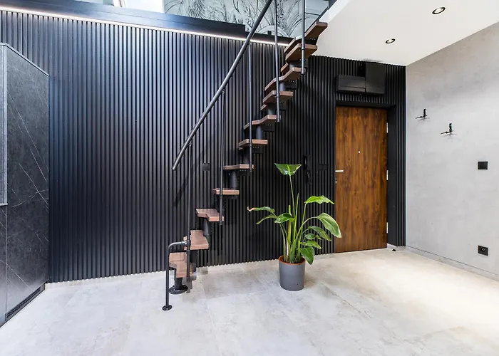 Bracka 3 Premium Krakow